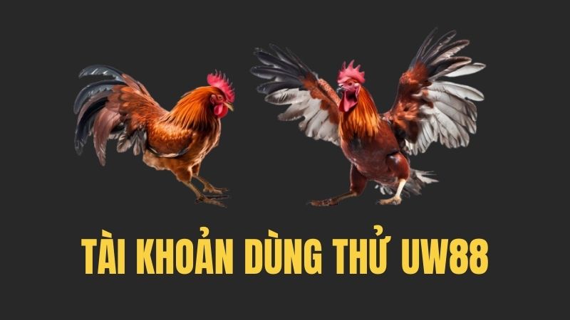 tai khoan dung thu uw88