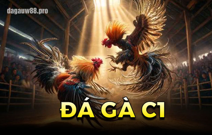 đá gà c1